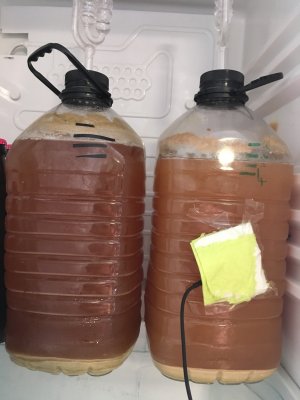 Colour from hops??? | The Homebrew Forum - Homebrewing Forums